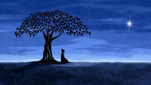 mindfulness meditation, brain study harvard, counseling Boulder, CO