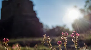 emotionally focused therapy, Counseling, Boulder, CO