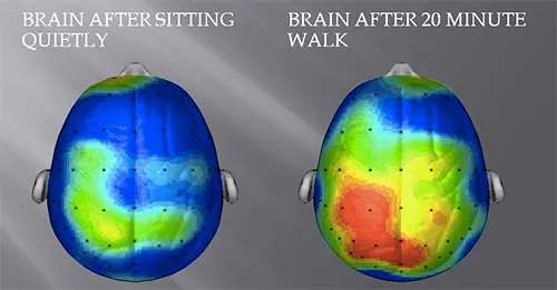 exercise impacts on brain, counselor, Boulder, CO