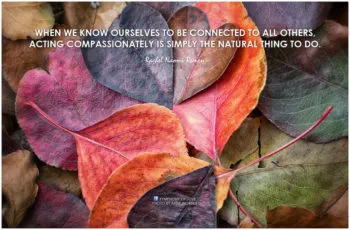 cultivating compassion, counselor, Boulder, CO
