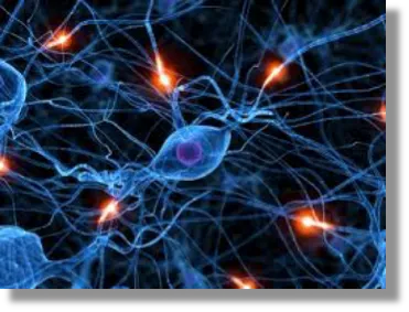 behavioral addiction brain