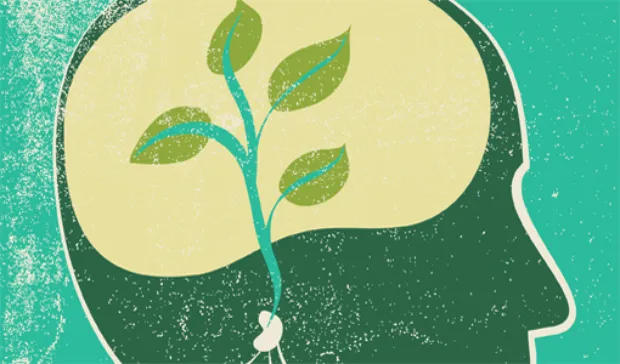 Science of mindfulness, breakthrough study, counseling in Boulder, CO