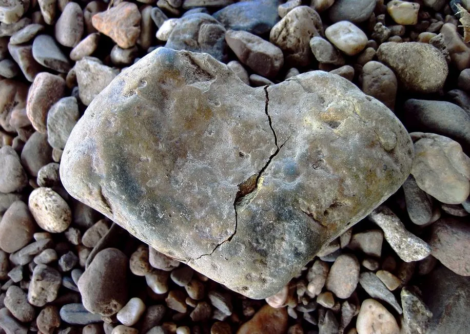 heartbreak, healing, counseling, Boulder, CO