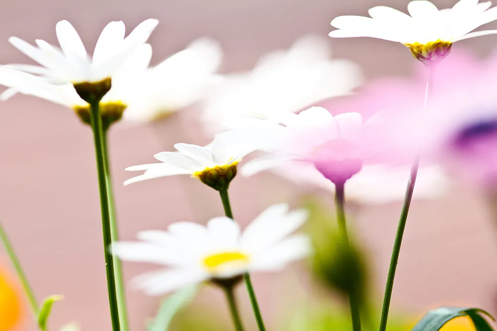 addiction treatment, counseling, Boulder CO